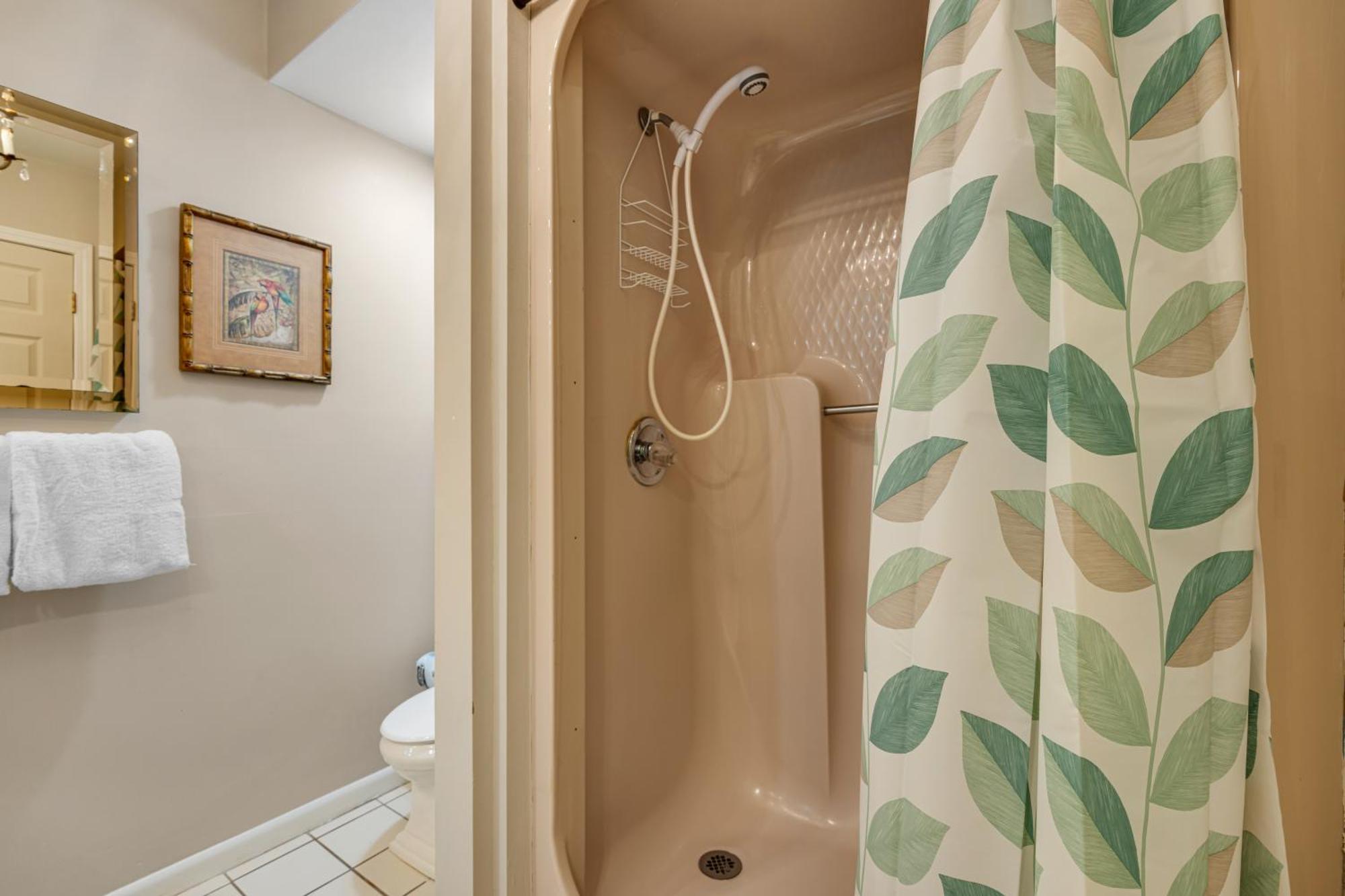 Dolphin Run At Reef Townhomes * Destin